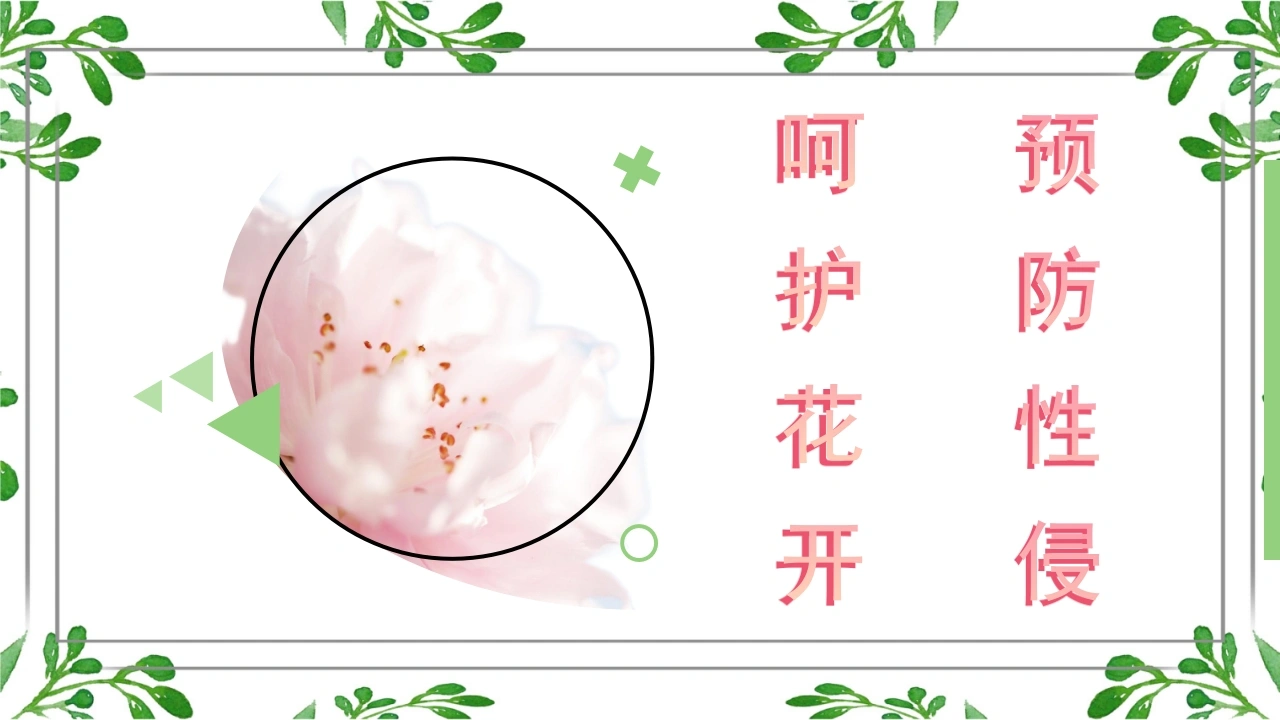 【初中】预防性侵主题班会：呵护花开，预防性侵-教务文库