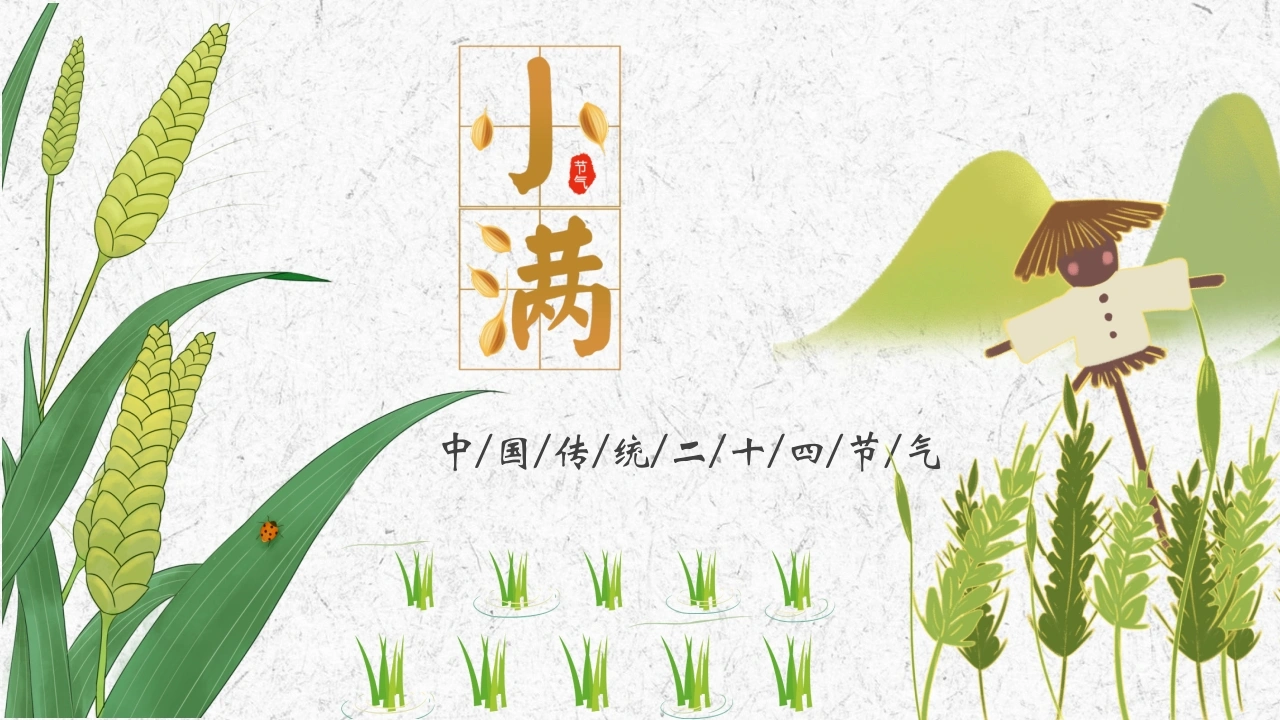 【通用】【传统节日】主题班会：二十四节气小满-教务文库