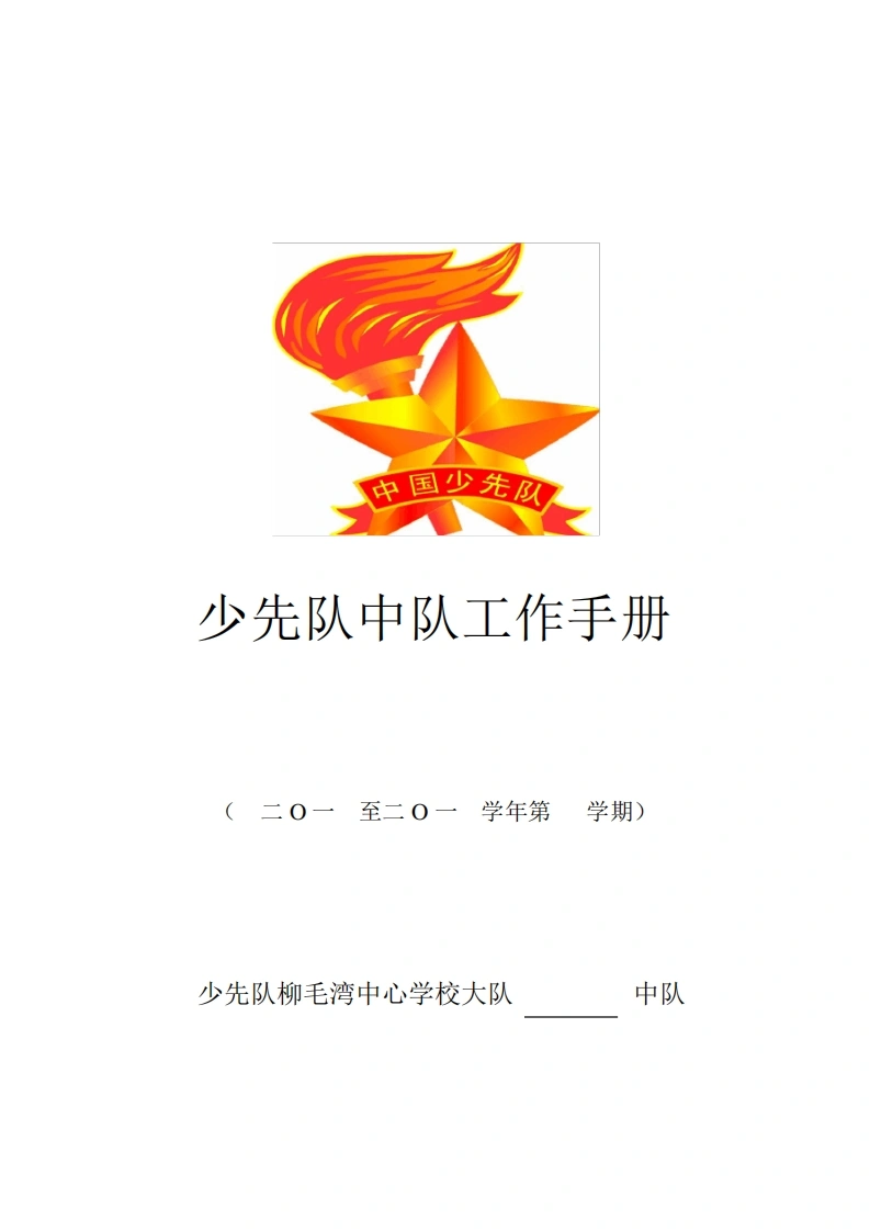 少先队中队工作手册-教务文库
